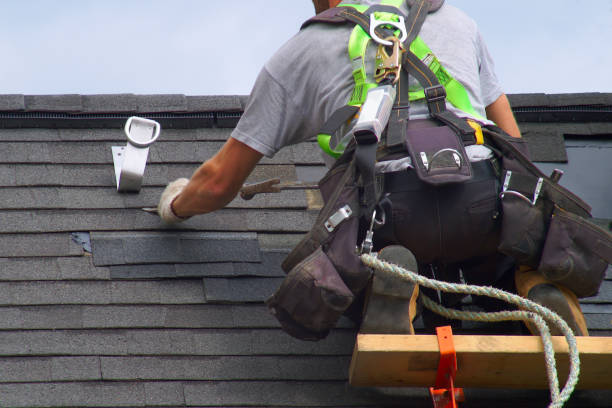Best Residential Vinyl Siding Installation  in Forest Meadows, CA
